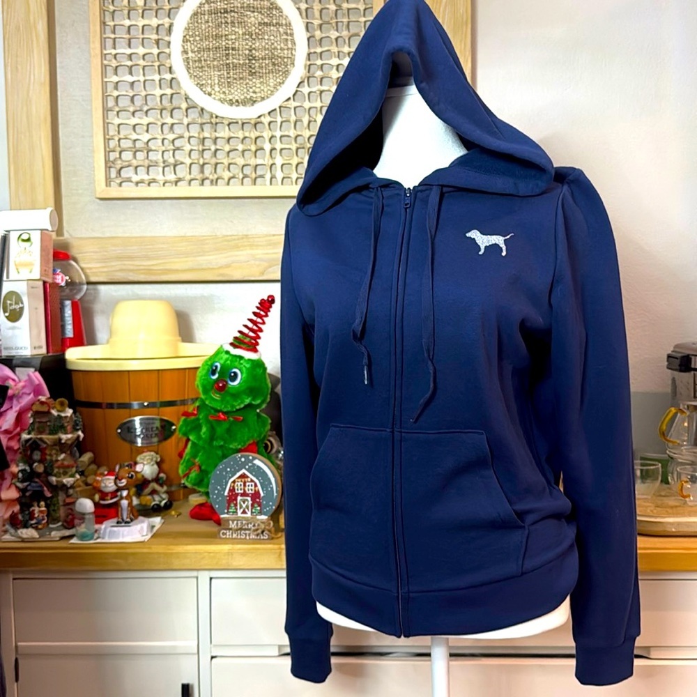 Pink Hoodie Blue and Silver Graphic Dog NWT